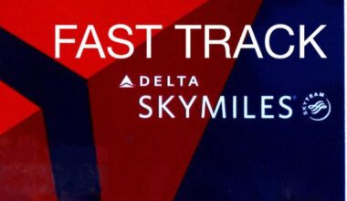 Fast Track Vielfliegertstatus Delta SkyMiles SkyTeam Elite Reiseblog Travel with Massi
