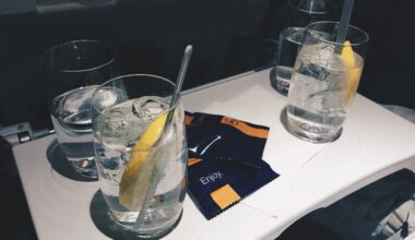 Review Lufthansa Business Class Airbus A321 Frankfurt - Kairo Gin Tonic und Mandeln