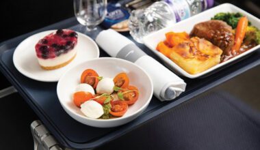 neue Menüs in British Airways World Traveller Plus (Premium Economy)
