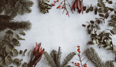 Winter, Pflanze, Gefrieren, Schnee, draußen, Baum