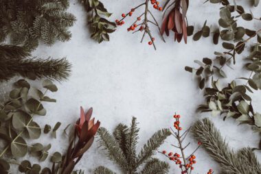 Winter, Pflanze, Gefrieren, Schnee, draußen, Baum