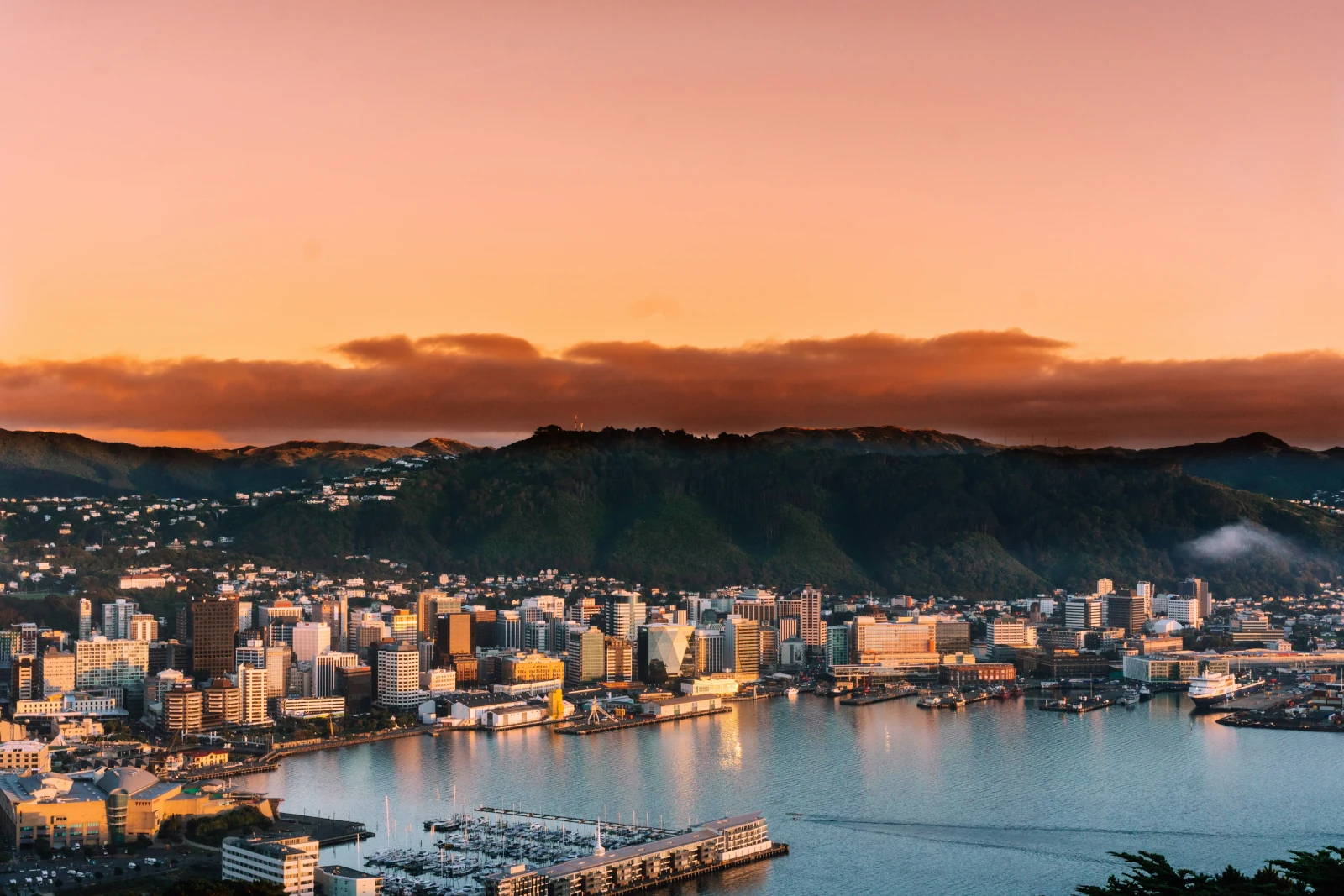 Blick auf Wellington, New Zealand eines der besten Reiseziele für alleinreisende Frauen