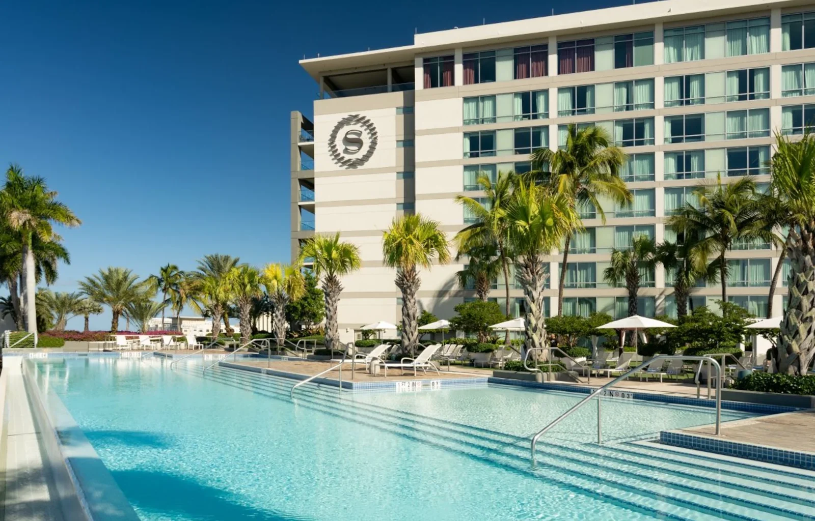 Pool des Sheraton Puerto Rico Resort & Casino - einer von 35 Marriott Bonvoy Marken