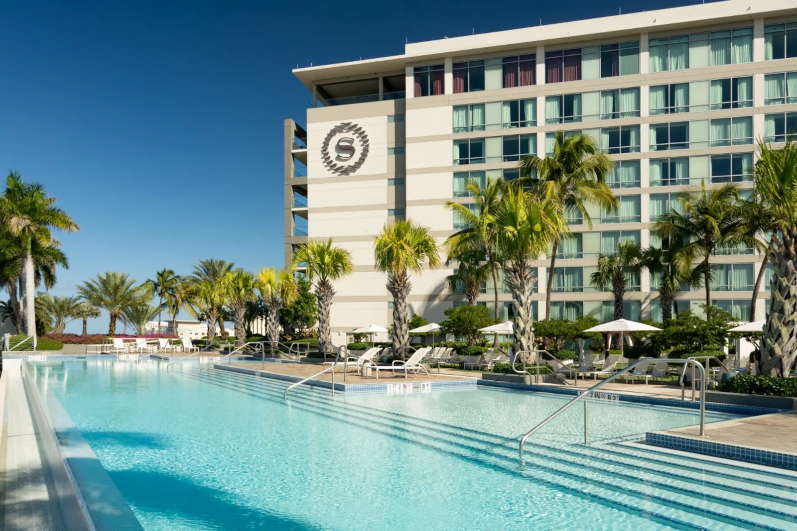 Pool des Sheraton Puerto Rico Resort & Casino - einer von 35 Marriott Bonvoy Marken