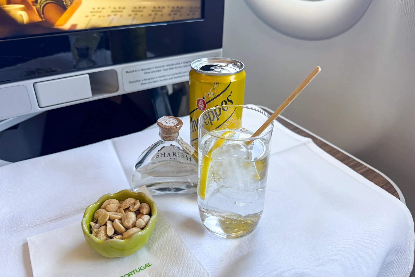 Business Class Menü TAP – Gin Tonic an Bord im Review 