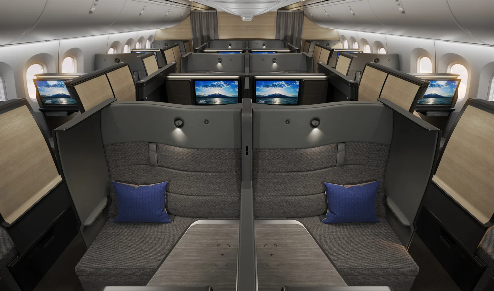 ANA Business Class The Room Boeing 787 Dreamliner