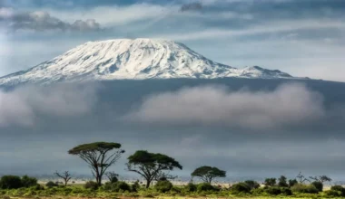 Amboseli, Кenia